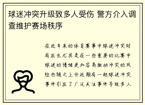 球迷冲突升级致多人受伤 警方介入调查维护赛场秩序